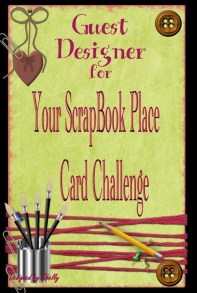 YSBP-Guest Designer 3