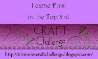 CRAFT Challenge Top3, 1