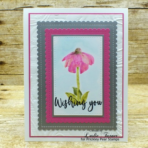 Peg Painted Coneflower Trio Top