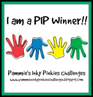 PIP Winner Badge 1