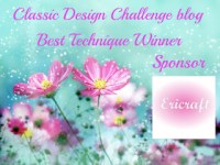 Ericraft Best Technique Winner Certifficate